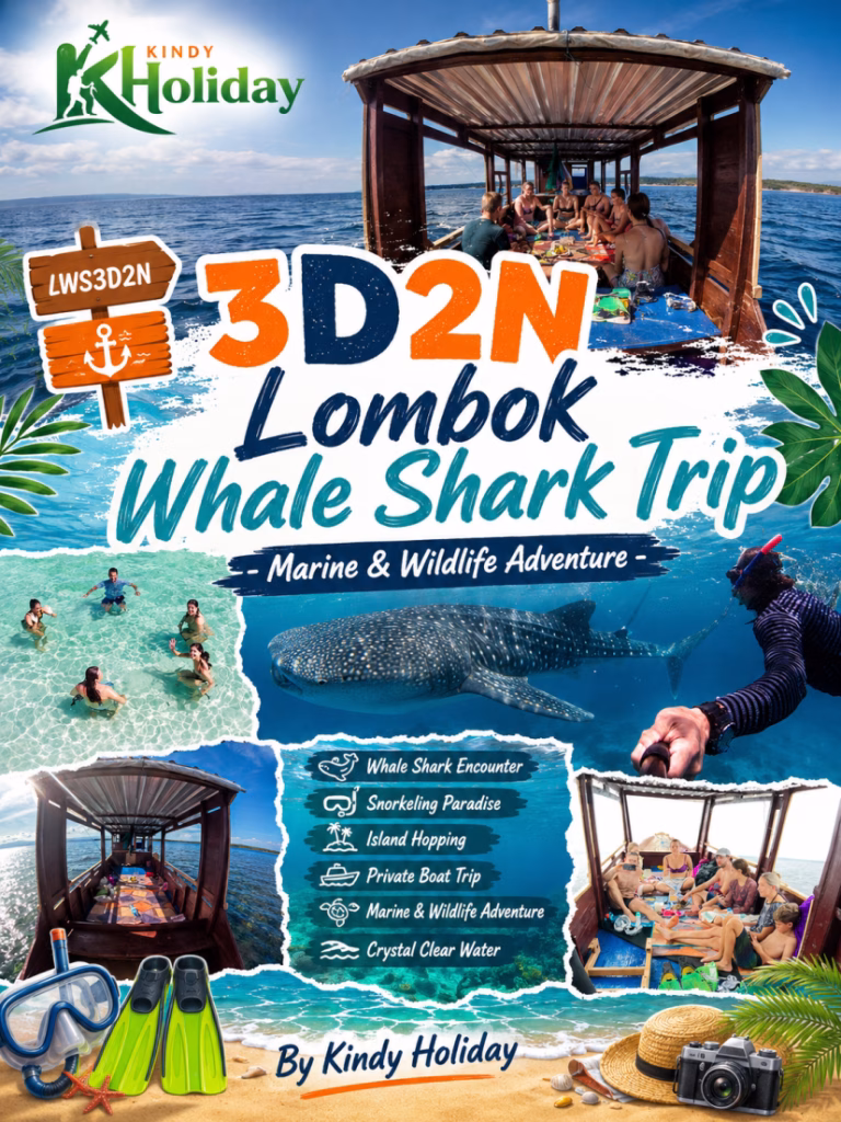 Lombok camping & hiking adventures, lombok camping trip, lombok island camping, lombok adventure camping, lombok hiking experience.